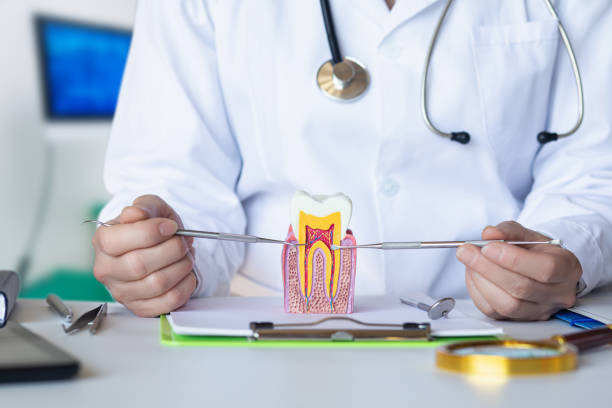 Best Orthodontic Emergency Dentist in Liolnton, NC